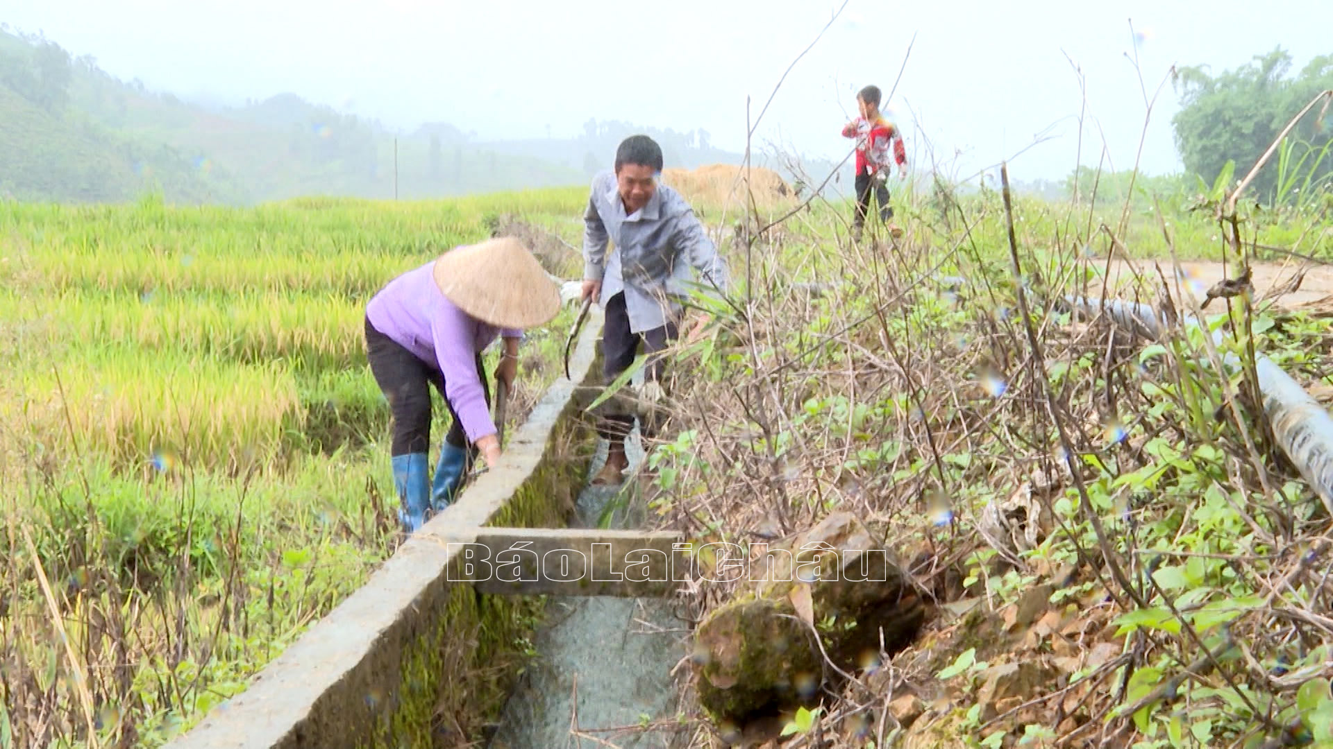 Người dân thường xuyên khơi thông kênh mương đảm bảo nước tưới tiêu phục vụ sản xuất.